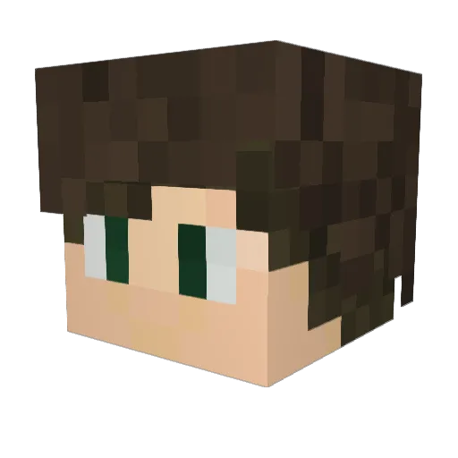 zjb1007 Minecraft avatar head, 3D render