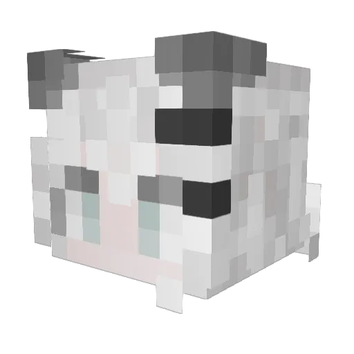 zjhhtt Minecraft avatar head, 3D render