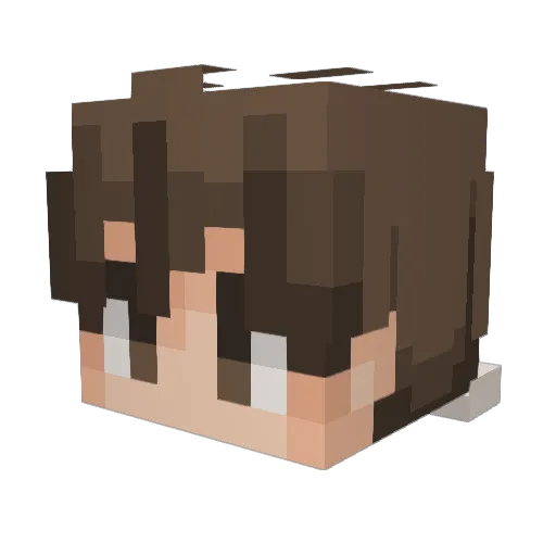 zjyzszj Minecraft avatar head, 3D render