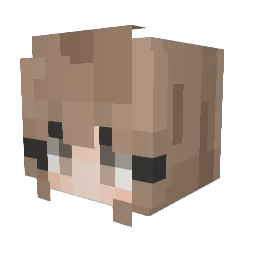 zlPolar Minecraft avatar head, 3D render
