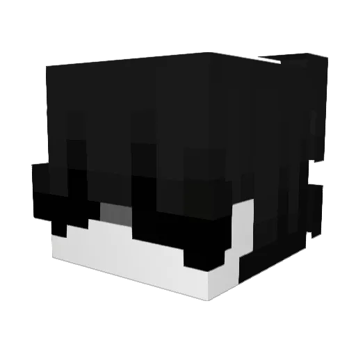 zlc479 Minecraft avatar head, 3D render
