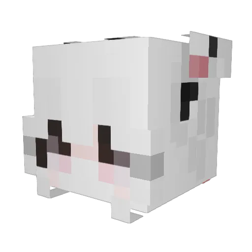 zlccc Minecraft avatar head, 3D render