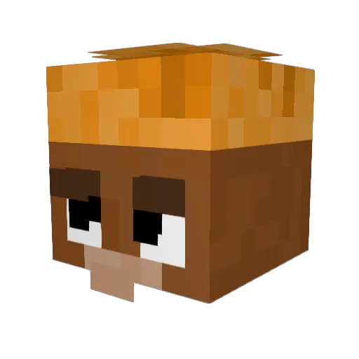 zlenerational Minecraft avatar head, 3D render