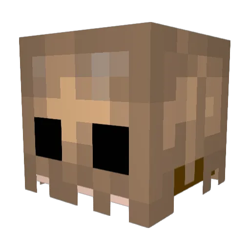zlidon Minecraft avatar head, 3D render