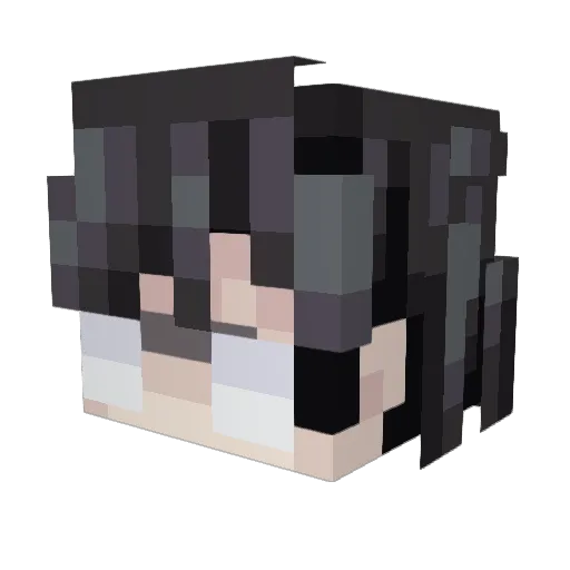 zljs Minecraft avatar head, 3D render