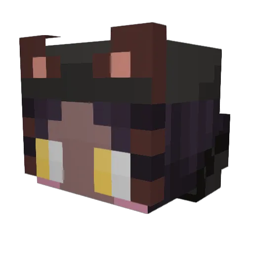 zlpy_ Minecraft avatar head, 3D render
