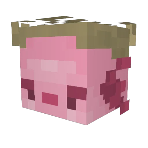 zlts Minecraft avatar head, 3D render