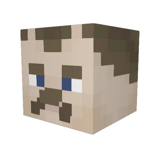 zlykuzynn Minecraft avatar head, 3D render