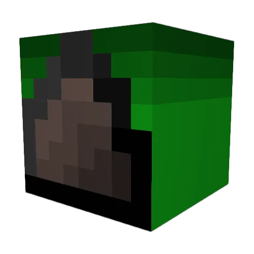 zlyzerzderechte Minecraft avatar head, 3D render