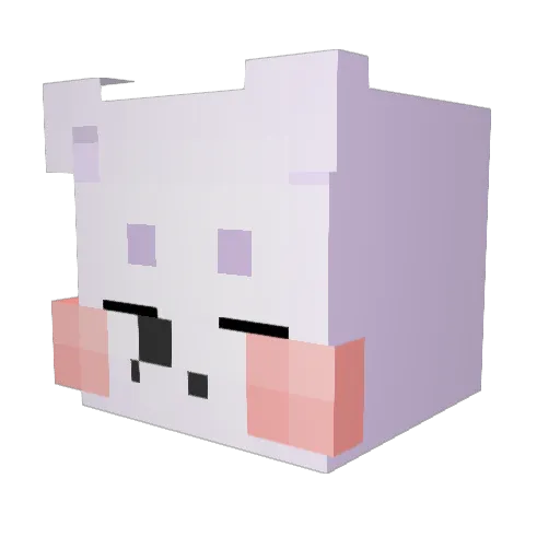 zlzon_wonbin Minecraft avatar head, 3D render