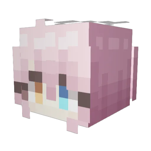 zlzonor1 Minecraft avatar head, 3D render