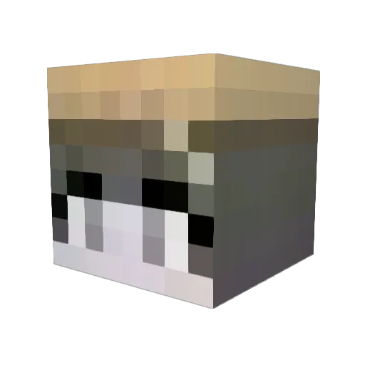 zmak Minecraft avatar head, 3D render