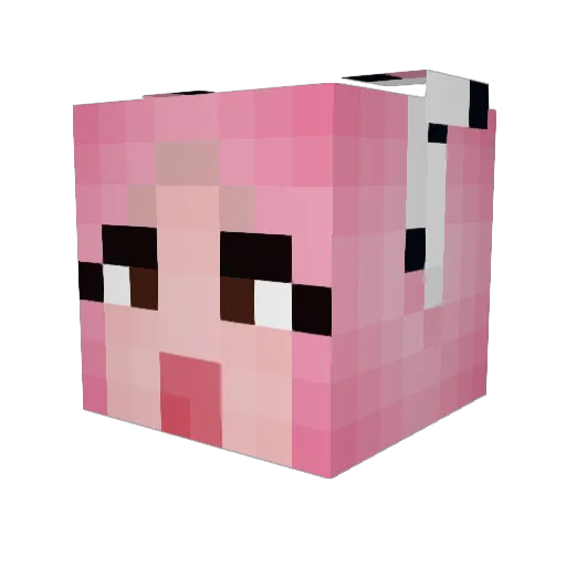 zmoney077 Minecraft avatar head, 3D render