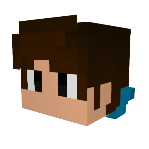 znT_ Minecraft avatar head, 3D render