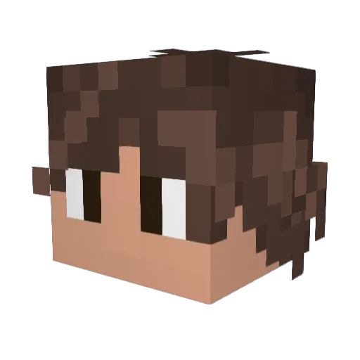 znakaz Minecraft avatar head, 3D render