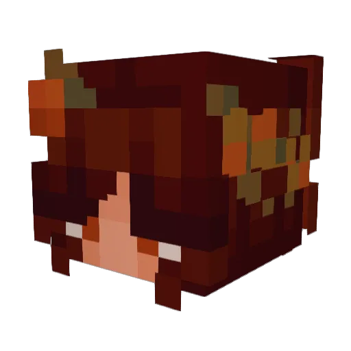 zniffie Minecraft avatar head, 3D render