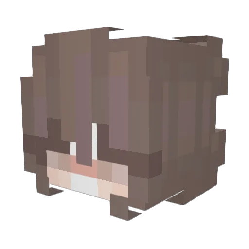 zo_oia Minecraft avatar head, 3D render