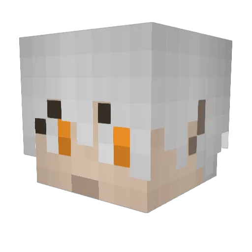 zoa11 Minecraft avatar head, 3D render