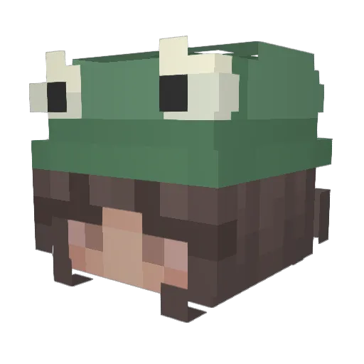 zocha213 Minecraft avatar head, 3D render