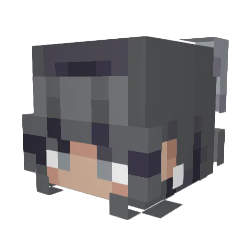 zocha4581 Minecraft avatar head, 3D render