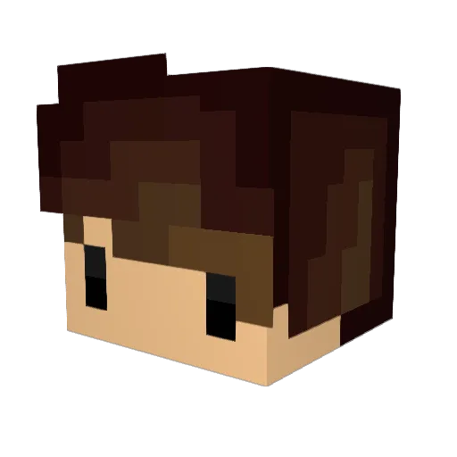 zocker9999999999 Minecraft avatar head, 3D render