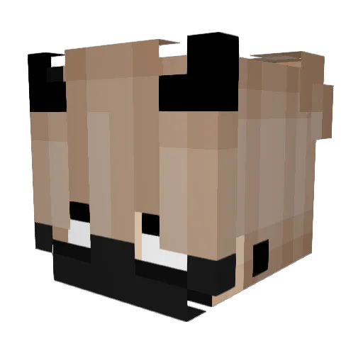zoddripsaw Minecraft avatar head, 3D render