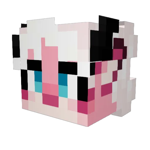 zodinya Minecraft avatar head, 3D render