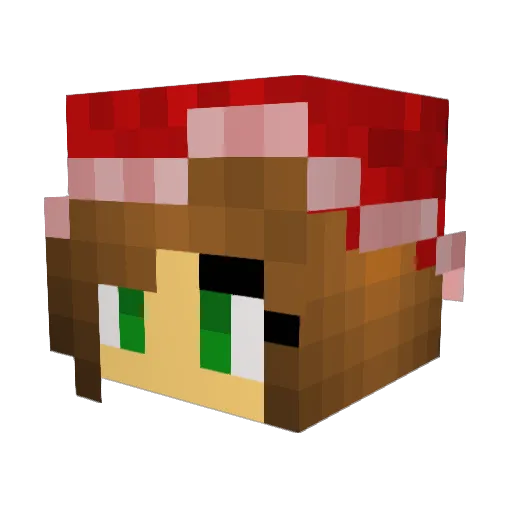 zoe216 Minecraft avatar head, 3D render