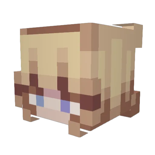 zoe644 Minecraft avatar head, 3D render