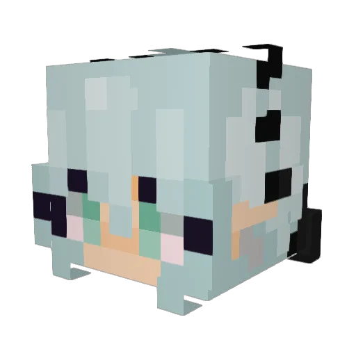 zoe_zebra23 Minecraft avatar head, 3D render