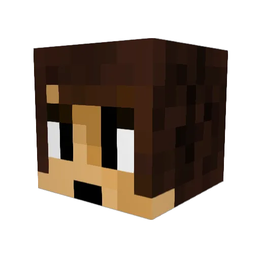 zoebladen Minecraft avatar head, 3D render