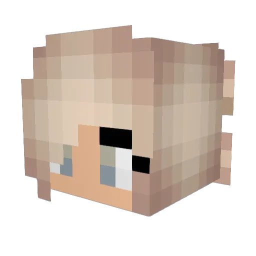 zoebranch Minecraft avatar head, 3D render