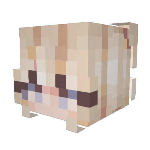 zoee12344554 Minecraft avatar head, 3D render