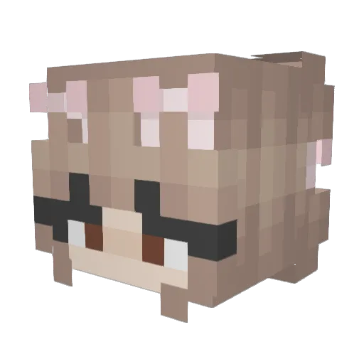 zoegobrr Minecraft avatar head, 3D render