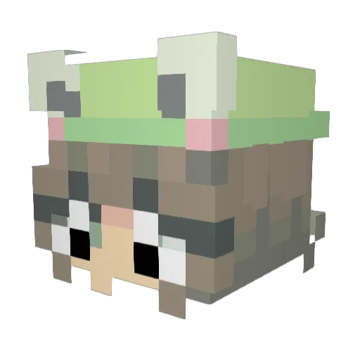 zoelaz Minecraft avatar head, 3D render