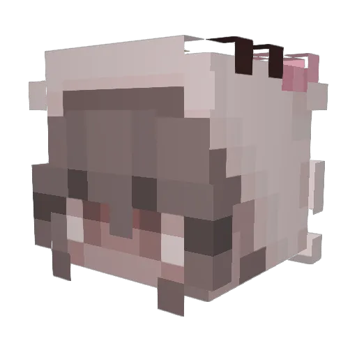 zoesimmers Minecraft avatar head, 3D render