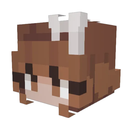 zoestaken Minecraft avatar head, 3D render