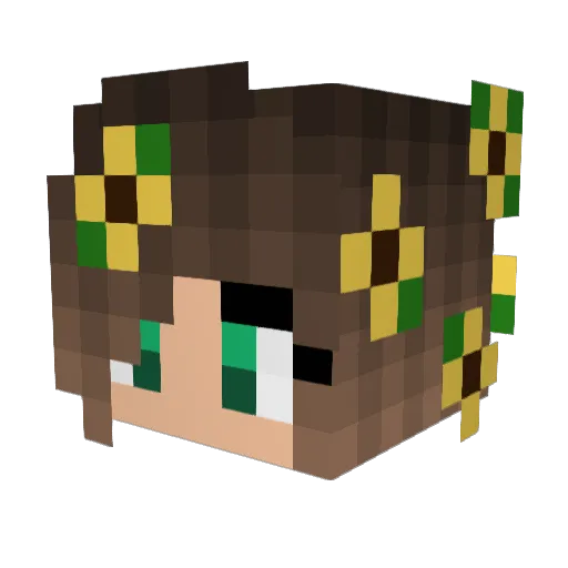 zoetepopcorn_ Minecraft avatar head, 3D render