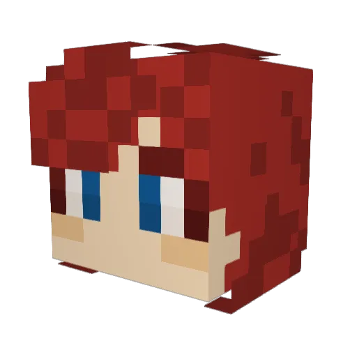 zoetommy Minecraft avatar head, 3D render
