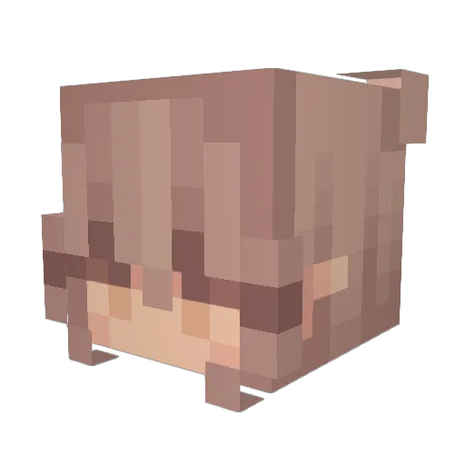 zoewithanf Minecraft avatar head, 3D render