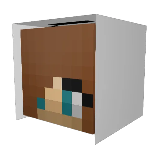 zoewoepy Minecraft avatar head, 3D render