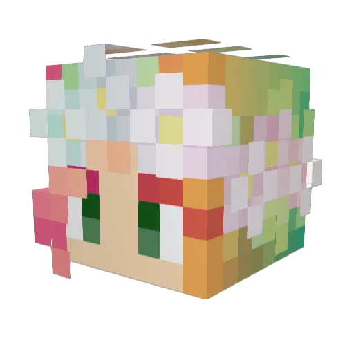zoeybean2 Minecraft avatar head, 3D render
