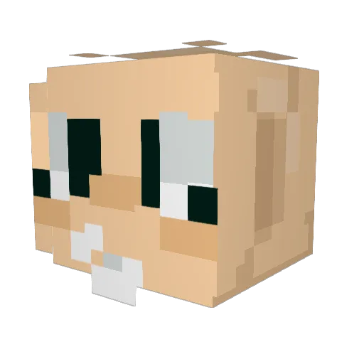 zoeygamer16 Minecraft avatar head, 3D render