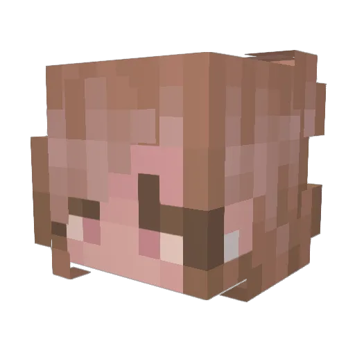 zoeynub Minecraft avatar head, 3D render