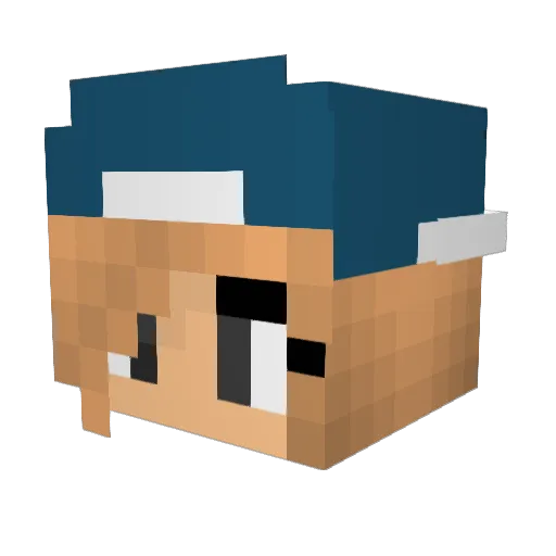 zoeyral1230 Minecraft avatar head, 3D render