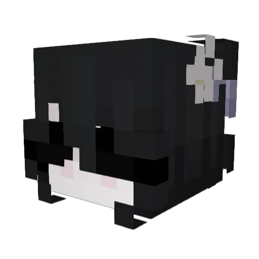 zofia148 Minecraft avatar head, 3D render