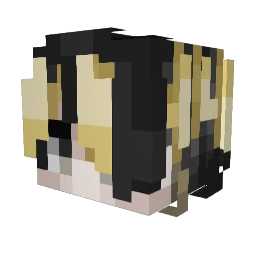 zogi1 Minecraft avatar head, 3D render