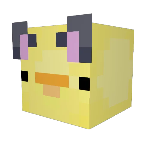 zohaaaa Minecraft avatar head, 3D render