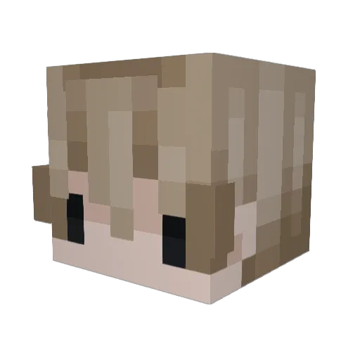 zoib Minecraft avatar head, 3D render