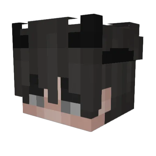 zoinbasejugg Minecraft avatar head, 3D render